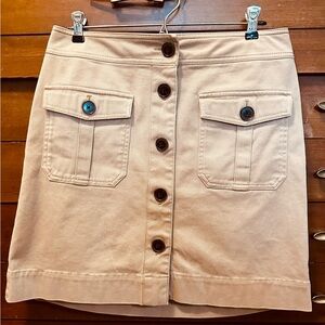 Ann Taylor Beige Skirt